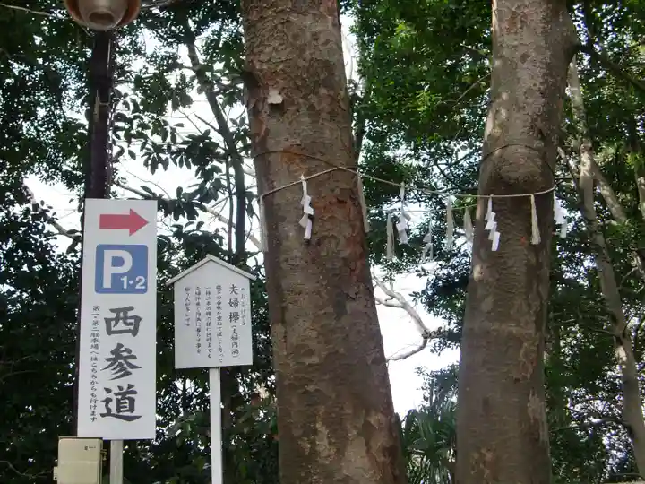 検見川神社の自然