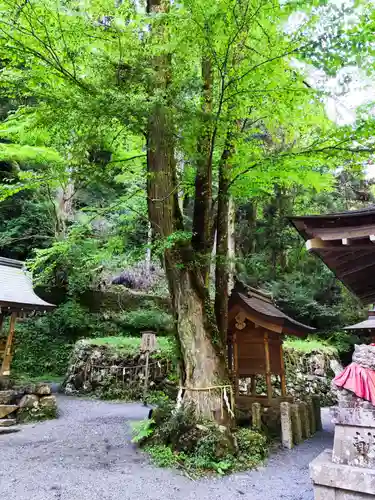 貴船神社奥宮(京都府)