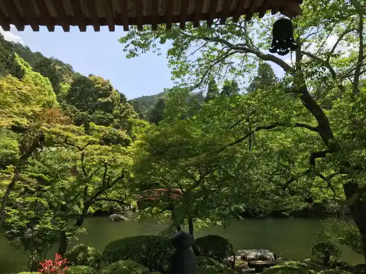 醍醐寺(上醍醐)の自然