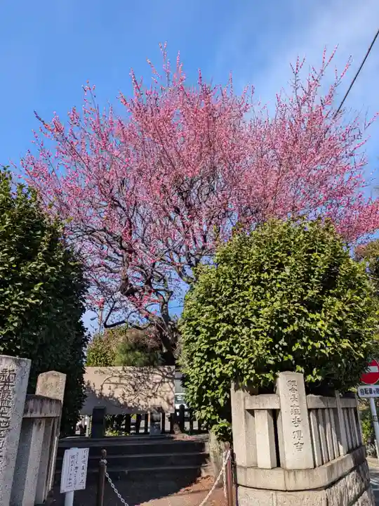 新井天神北野神社(東京都)