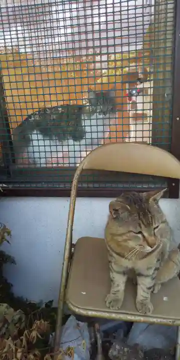 鹿角八坂神社の動物