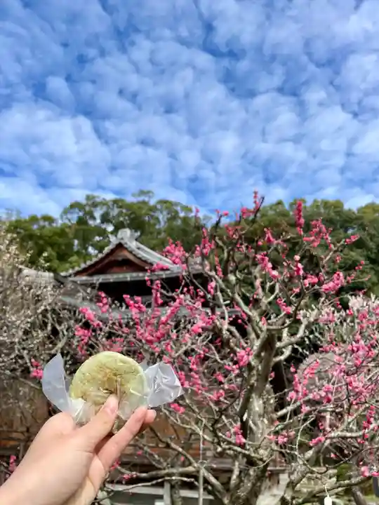 太宰府天満宮(福岡県)