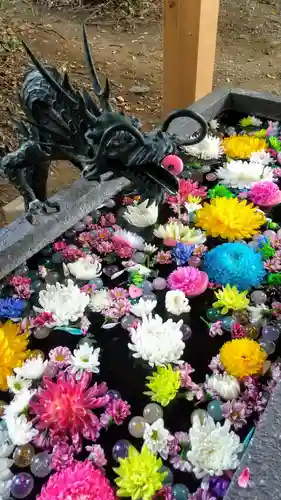 下野 星宮神社の手水舎