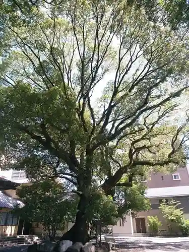 伊河麻神社の自然