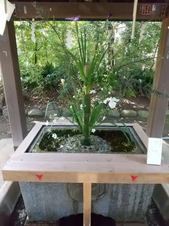 赤坂氷川神社の手水舎