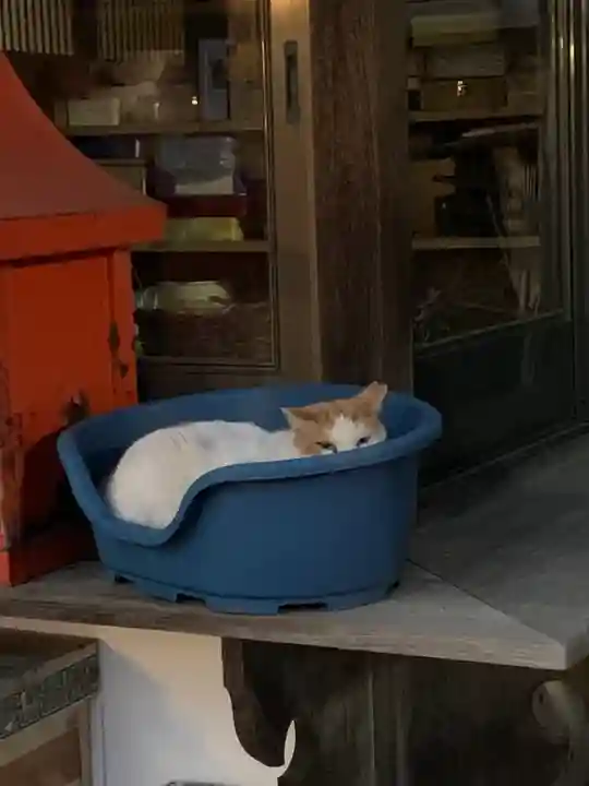 今市報徳二宮神社(栃木県)