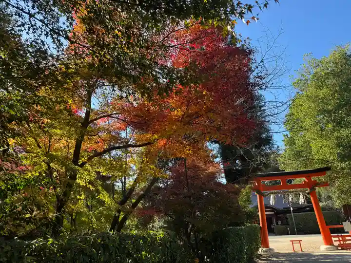 賀茂別雷神社(上賀茂神社)(京都府)
