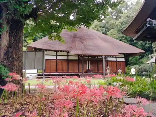 横浜　西方寺の本殿・本堂