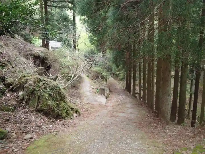 火男火賣神社(中宮)の自然