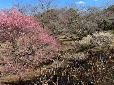 靜岡縣護國神社(静岡県)