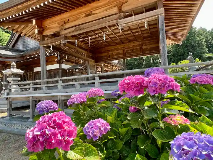 粟井神社の自然