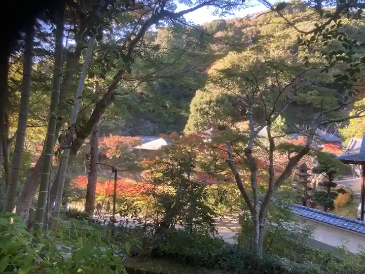 円覚寺(神奈川県)
