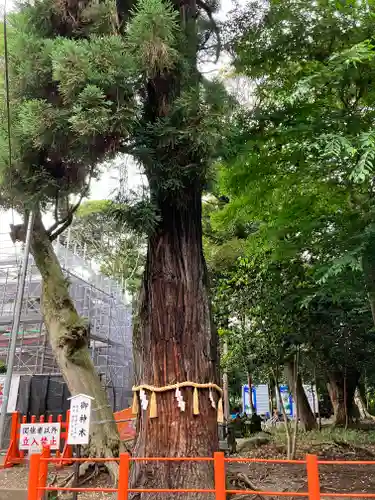 息栖神社(茨城県)