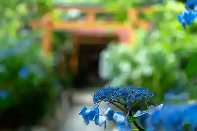平野神社(京都府)