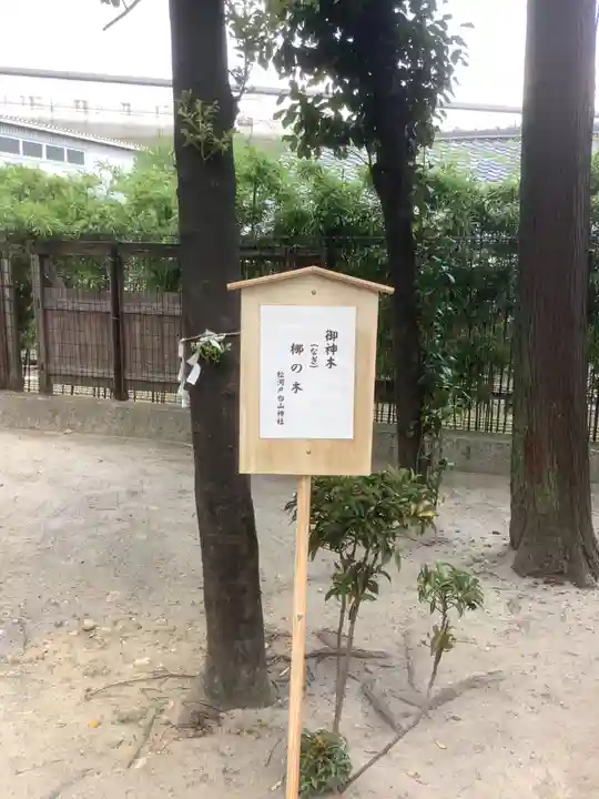 白山神社(松河戸町)のその他建物