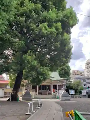 荻窪白山神社(東京都)