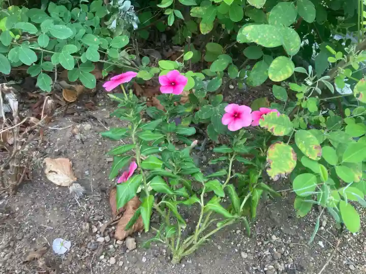 横浜御嶽神社(神奈川県)