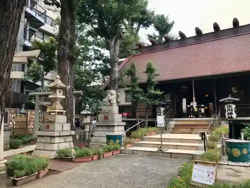 高円寺氷川神社の本殿・本堂