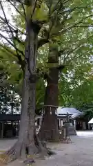 春日部八幡神社(埼玉県)