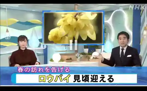 沙沙貴神社(滋賀県)