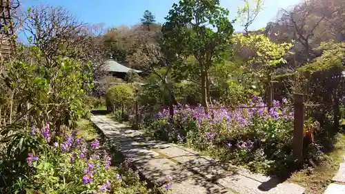 瑞泉寺の庭園