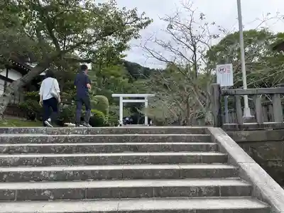 安房神社(千葉県)