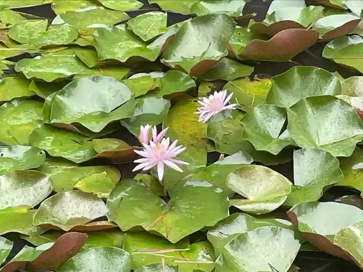 金剛證寺(三重県)