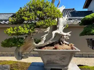 芳春院(京都府)