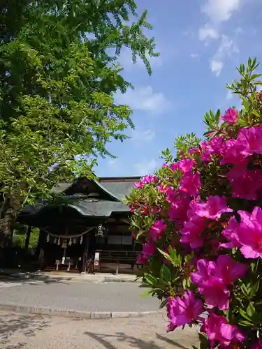 賀羅加波神社の本殿