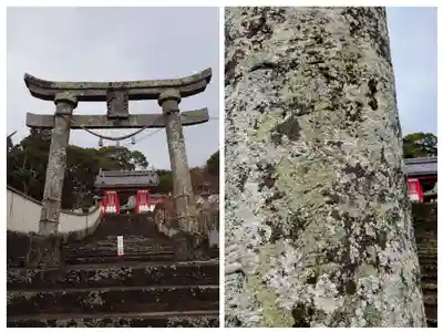 若宮八幡社(大分県)