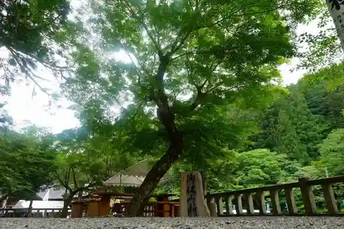 丹生川上神社（中社）の自然