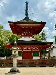 金剛寺(大阪府)