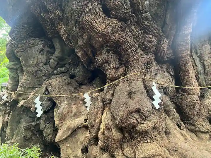 來宮神社(静岡県)