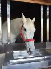 多度大社の動物