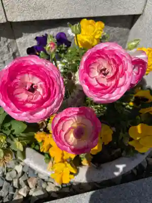 帝釈寺(大阪府)