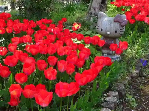 泉蔵寺の庭園