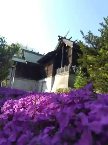 厚別神社(北海道)