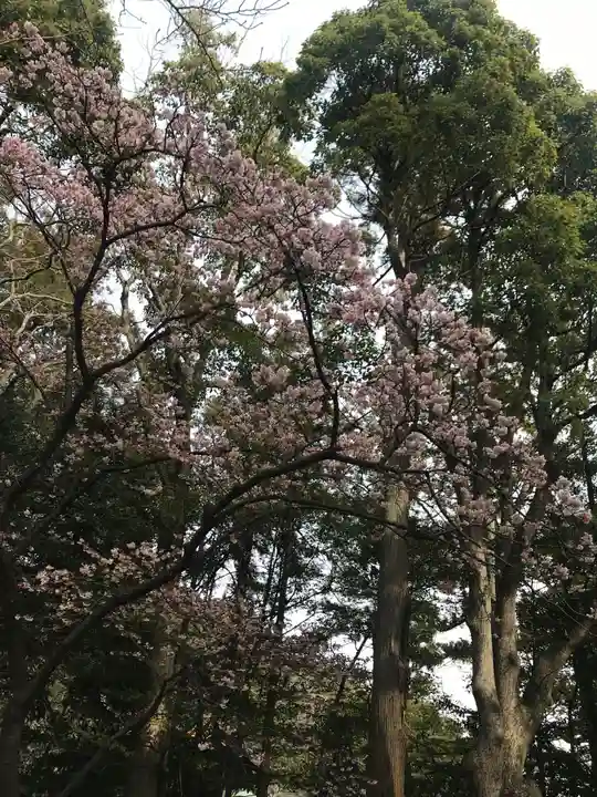 鶴岡八幡宮の自然