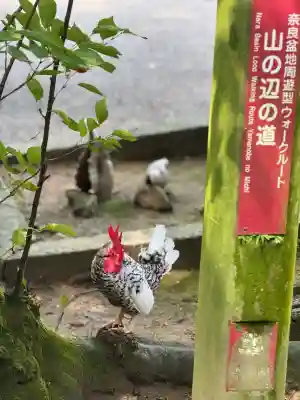 石上神宮(奈良県)