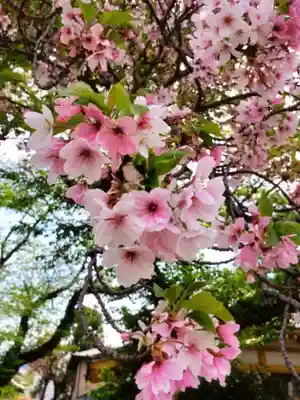 圓照寺(東京都)