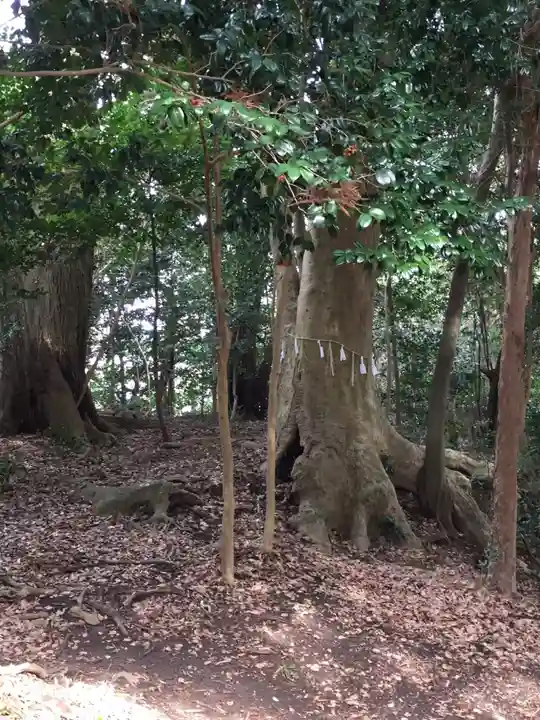 加良比乃神社の自然