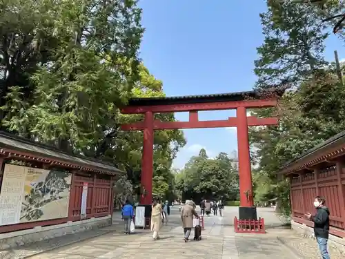 武蔵一宮氷川神社の鳥居