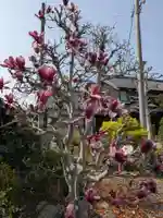 広専寺(岐阜県)