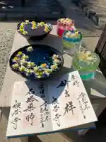 般若寺 ❁コスモス寺❁(奈良県)