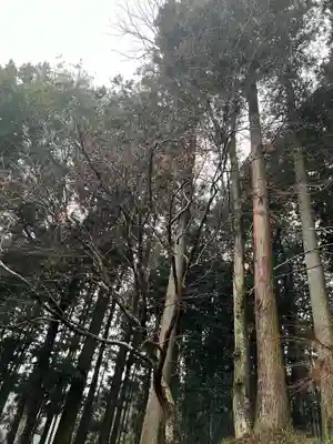 大宮温泉神社(栃木県)