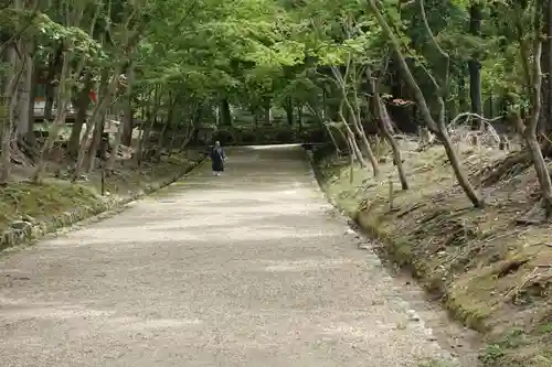 醍醐寺の景色