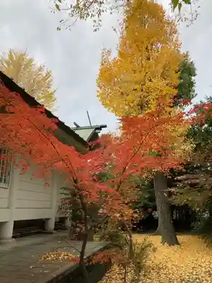 稗田神社の本殿・本堂