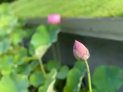 伊勢の国 四天王寺の自然