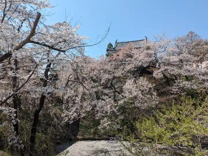 眞田神社の自然