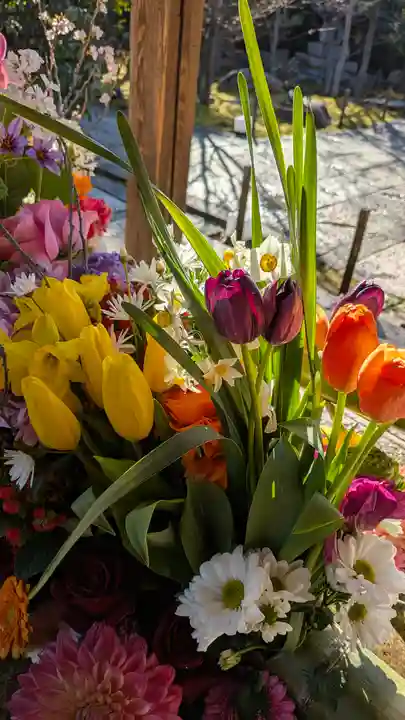 勝林寺(京都府)